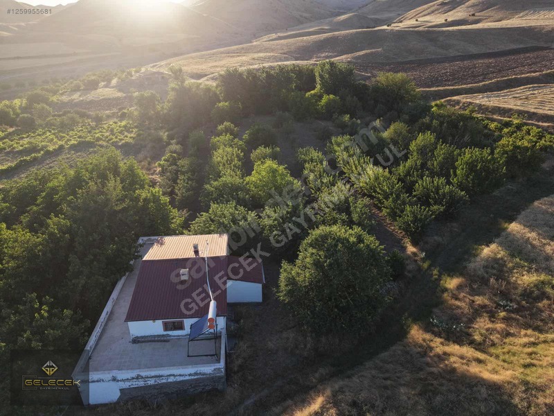 Yurtbaşı'nda Evi, Havuzu Yetişmiş Bahçe&bağı Olan Harika Fırsat — fotoğraf 33