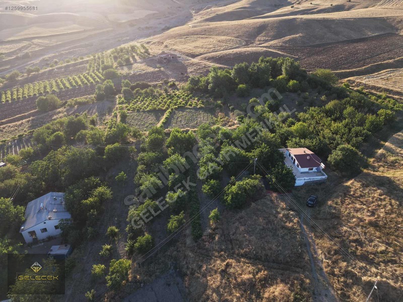 Yurtbaşı'nda Evi, Havuzu Yetişmiş Bahçe&bağı Olan Harika Fırsat — fotoğraf 34