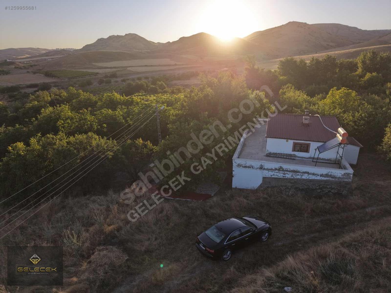 Yurtbaşı'nda Evi, Havuzu Yetişmiş Bahçe&bağı Olan Harika Fırsat — fotoğraf 35