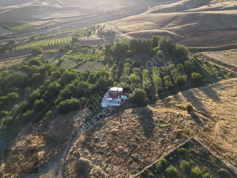 Yurtbaşı'nda Evi, Havuzu Yetişmiş Bahçe&bağı Olan Harika Fırsat — fotoğraf 36