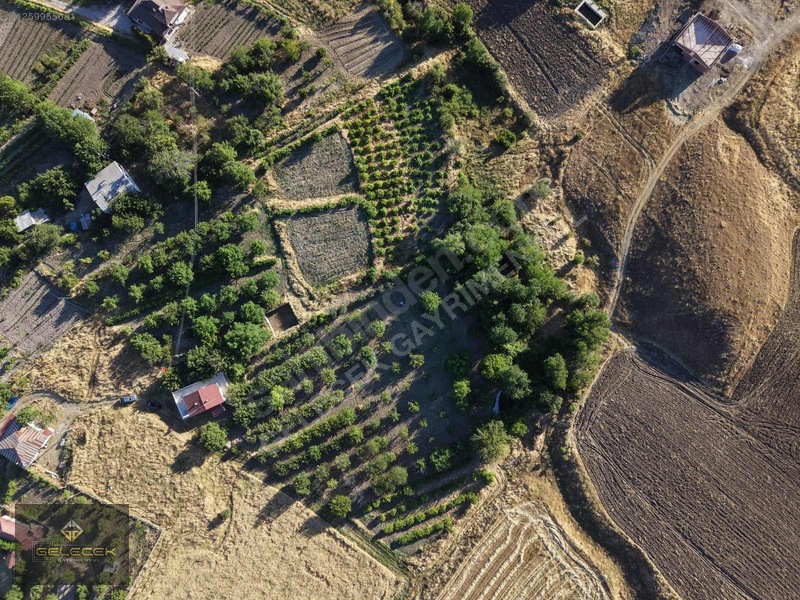 Yurtbaşı'nda Evi, Havuzu Yetişmiş Bahçe&bağı Olan Harika Fırsat — fotoğraf 37