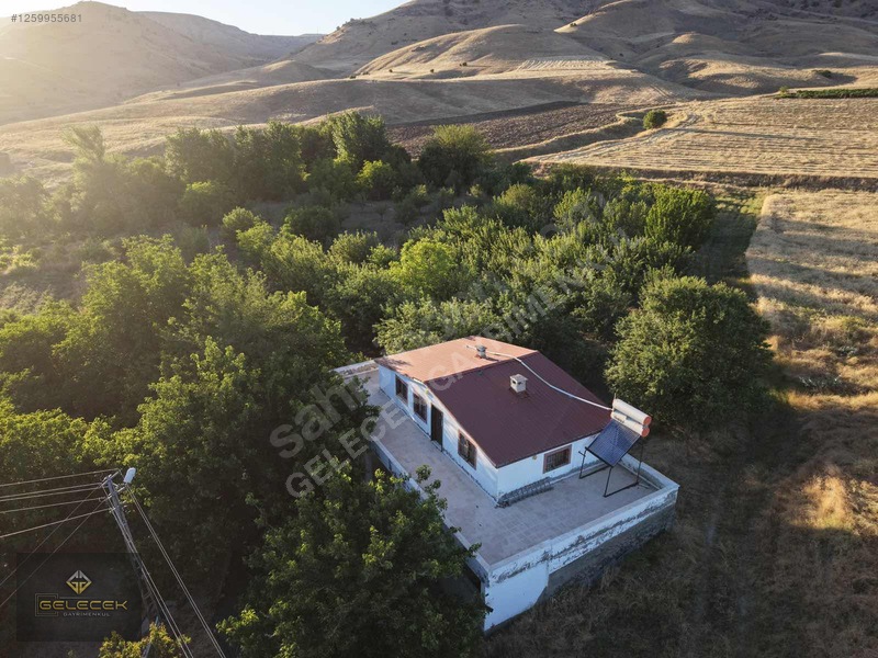 Yurtbaşı'nda Evi, Havuzu Yetişmiş Bahçe&bağı Olan Harika Fırsat — fotoğraf 38