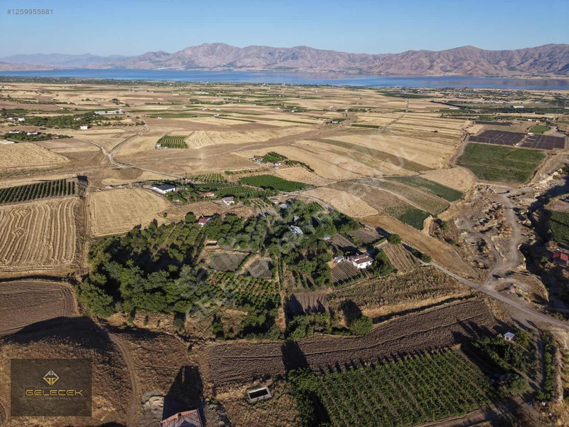 Yurtbaşı'nda Evi, Havuzu Yetişmiş Bahçe&bağı Olan Harika Fırsat — fotoğraf 39