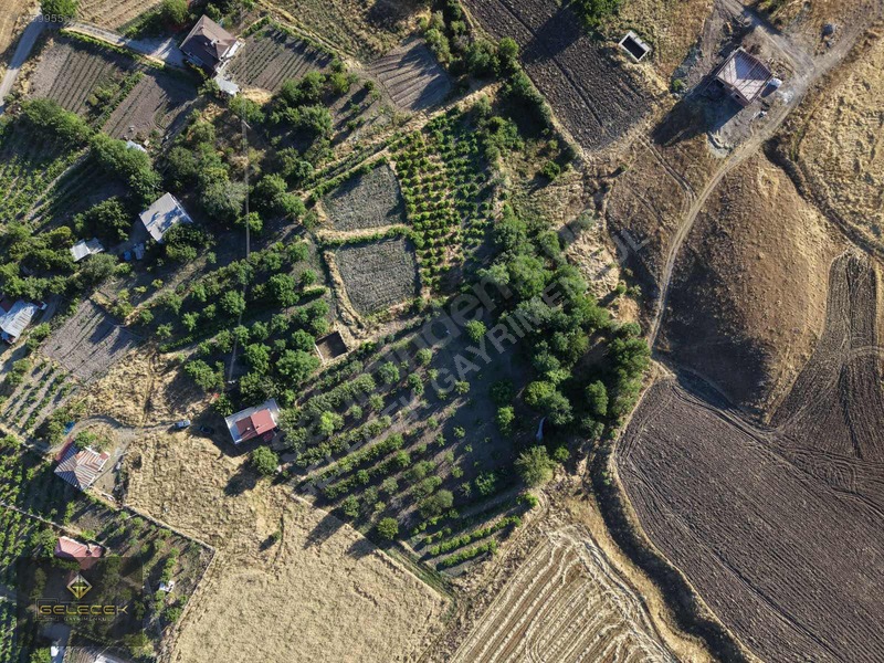 Yurtbaşı'nda Evi, Havuzu Yetişmiş Bahçe&bağı Olan Harika Fırsat — fotoğraf 40