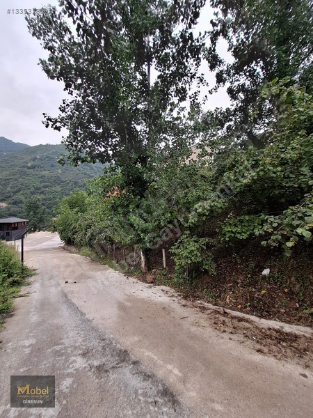 Mabel'den Dereli İlçesinde İmarlı Fırsat Arsa — fotoğraf 4