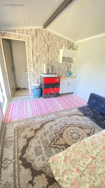 Satılık Tek Tapu Manzaralı Zeytinlik — fotoğraf 8