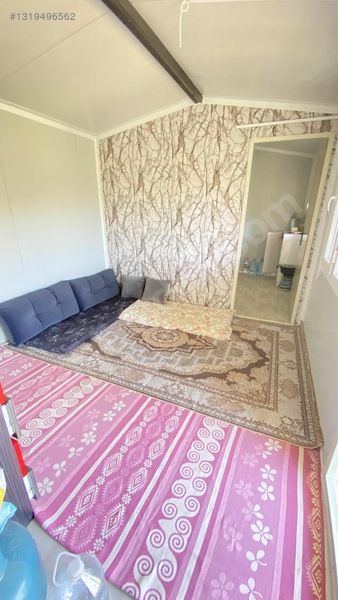 Satılık Tek Tapu Manzaralı Zeytinlik — fotoğraf 9