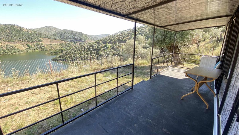 Satılık Tek Tapu Manzaralı Zeytinlik — fotoğraf 11