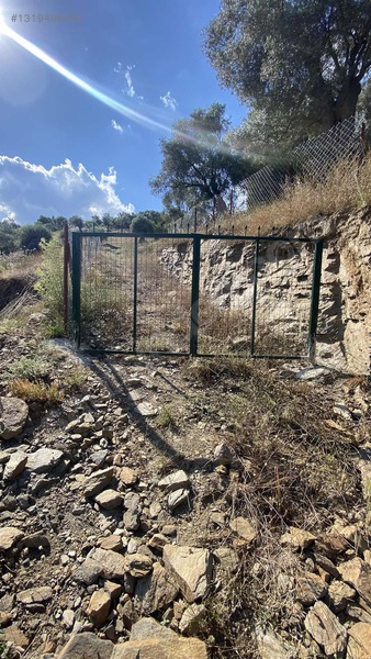 Satılık Tek Tapu Manzaralı Zeytinlik — fotoğraf 16