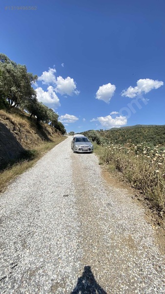 Satılık Tek Tapu Manzaralı Zeytinlik — fotoğraf 18
