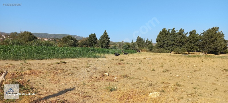 İmarlı 4 Arsa — fotoğraf 4