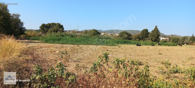 İmarlı 4 Arsa — fotoğraf 8