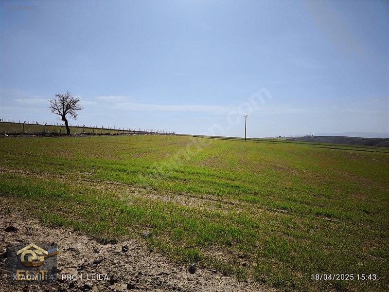 Akyurt Çardakbagı Yola Cephe Arsa — fotoğraf 4