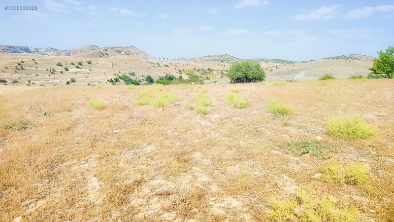 Merkez Kurtderede Satılık Tarla