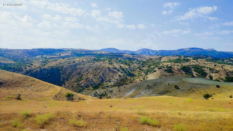Merkez Kurtderede Satılık Tarla — fotoğraf 2