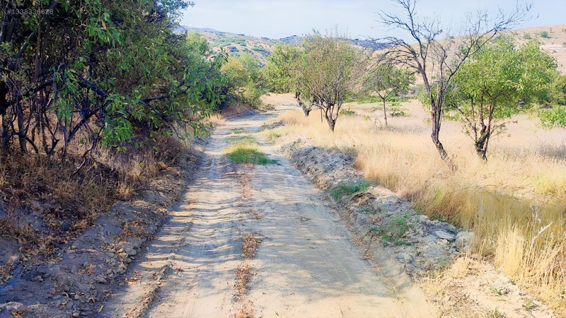 Merkez Kurtderede Satılık Tarla — fotoğraf 3