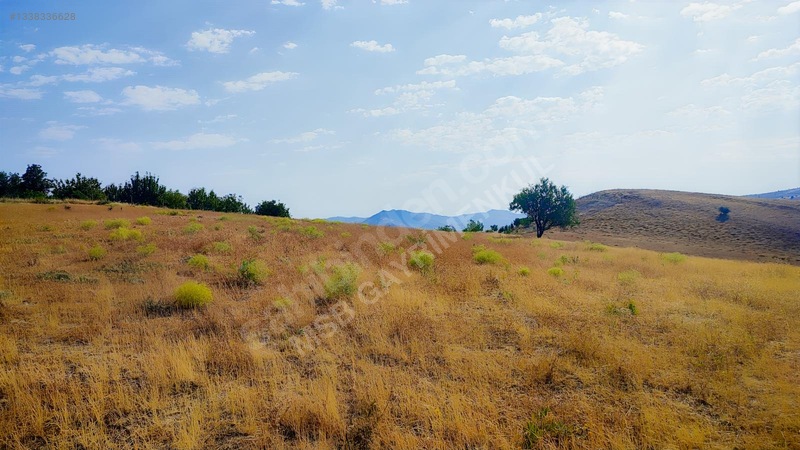 Merkez Kurtderede Satılık Tarla — fotoğraf 4
