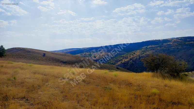 Merkez Kurtderede Satılık Tarla — fotoğraf 5