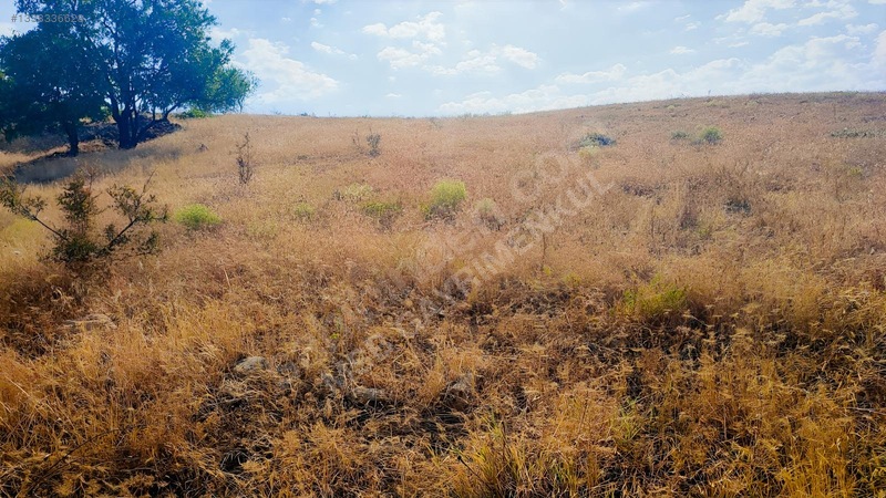 Merkez Kurtderede Satılık Tarla — fotoğraf 6