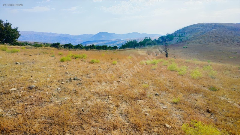 Merkez Kurtderede Satılık Tarla — fotoğraf 7