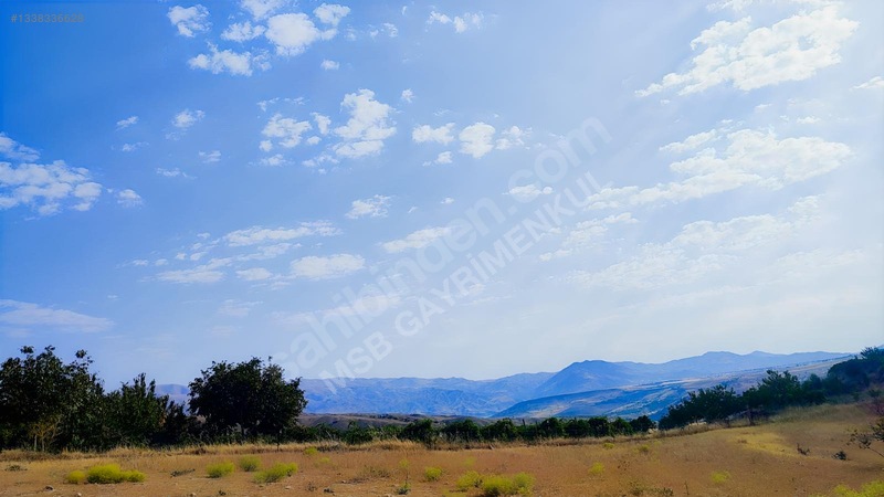 Merkez Kurtderede Satılık Tarla — fotoğraf 8