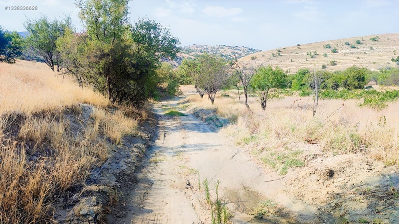 Merkez Kurtderede Satılık Tarla — fotoğraf 9