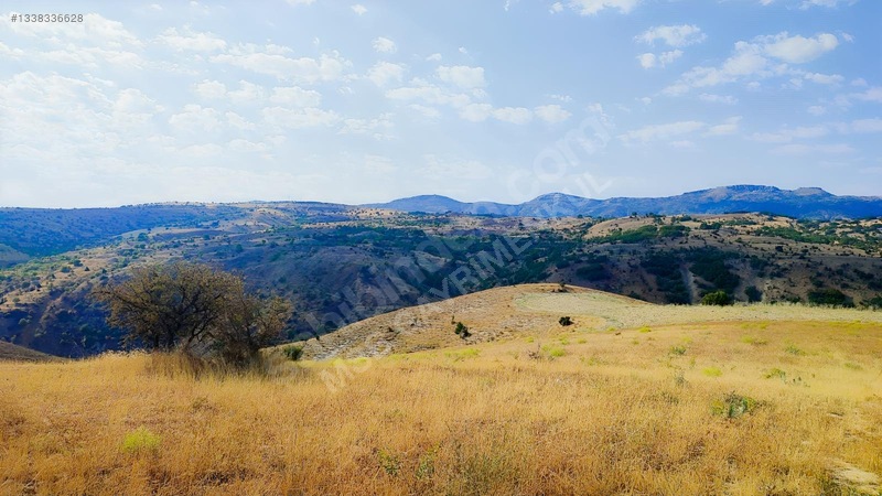 Merkez Kurtderede Satılık Tarla — fotoğraf 10