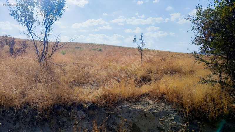 Merkez Kurtderede Satılık Tarla — fotoğraf 11