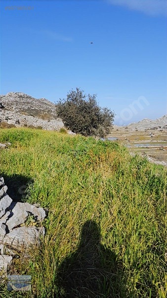 Cmm, Den Söğüt Taşlıca Da 2 Villalık Tarla — fotoğraf 2