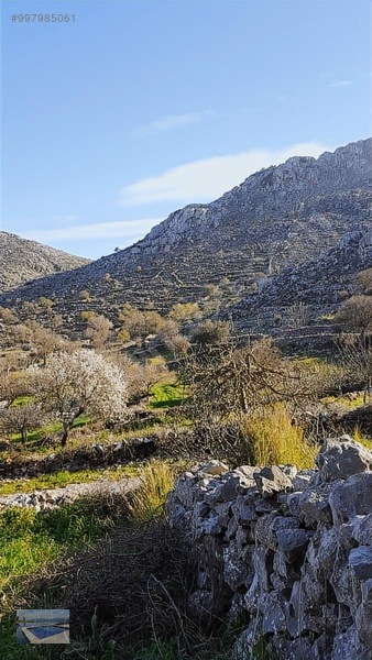 Cmm, Den Söğüt Taşlıca Da 2 Villalık Tarla — fotoğraf 5