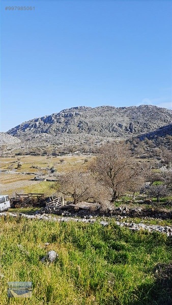 Cmm, Den Söğüt Taşlıca Da 2 Villalık Tarla — fotoğraf 6