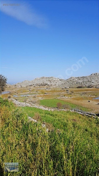 Cmm, Den Söğüt Taşlıca Da 2 Villalık Tarla — fotoğraf 8