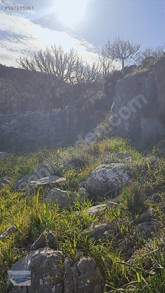 Cmm, Den Söğüt Taşlıca Da 2 Villalık Tarla — fotoğraf 10