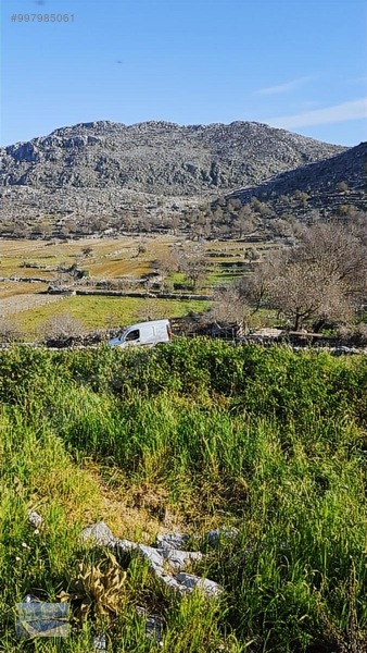 Cmm, Den Söğüt Taşlıca Da 2 Villalık Tarla — fotoğraf 12