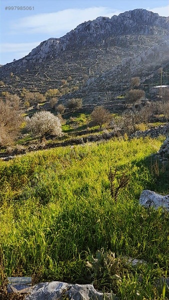 Cmm, Den Söğüt Taşlıca Da 2 Villalık Tarla — fotoğraf 13