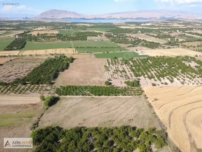 Yazıhan Tecirli'de Satılık 14 Dönüm Sulu Tarla — fotoğraf 8