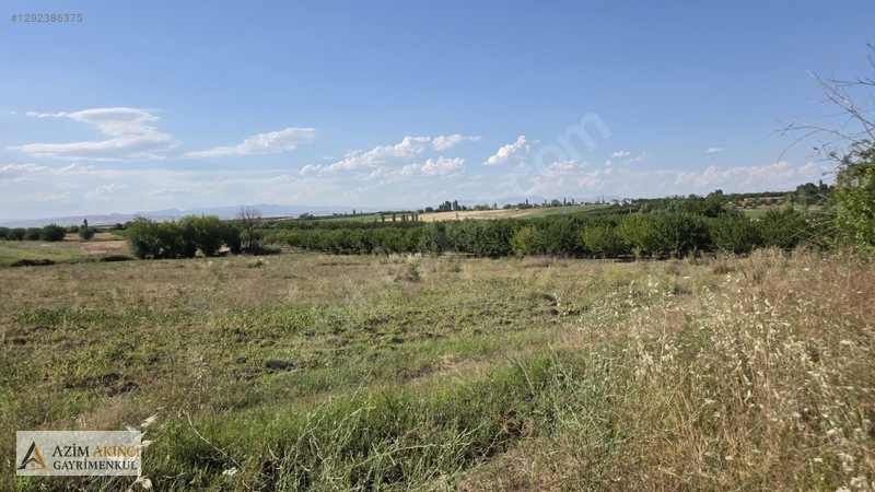 Yazıhan Tecirli'de Satılık 14 Dönüm Sulu Tarla — fotoğraf 16