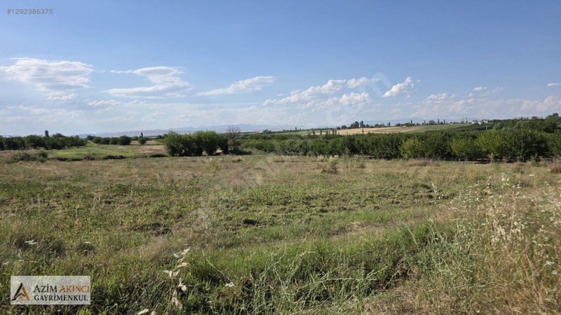 Yazıhan Tecirli'de Satılık 14 Dönüm Sulu Tarla — fotoğraf 17