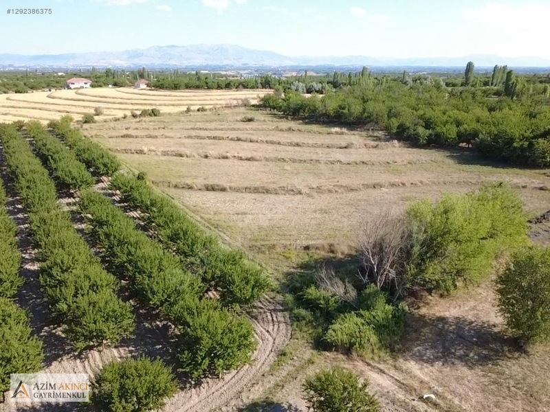 Yazıhan Tecirli'de Satılık 14 Dönüm Sulu Tarla — fotoğraf 20
