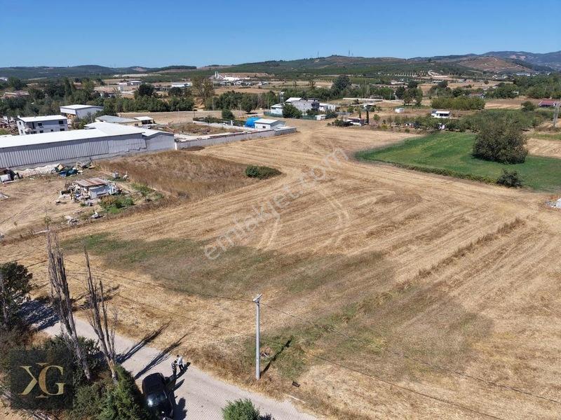 Pruva'Dan Mudanya Çekrice'De 668M2 Satılık Arsa — fotoğraf 5