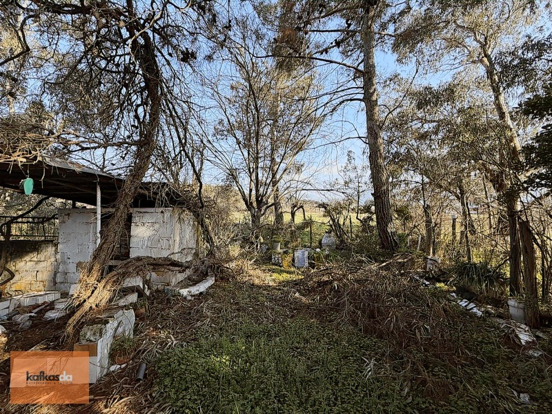 Kemalpaşa Yukarıkızılca'da Satılık Çiftlik Evi Ve Arazisi — fotoğraf 9