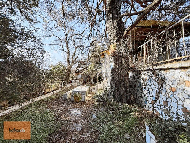 Kemalpaşa Yukarıkızılca'da Satılık Çiftlik Evi Ve Arazisi — fotoğraf 11