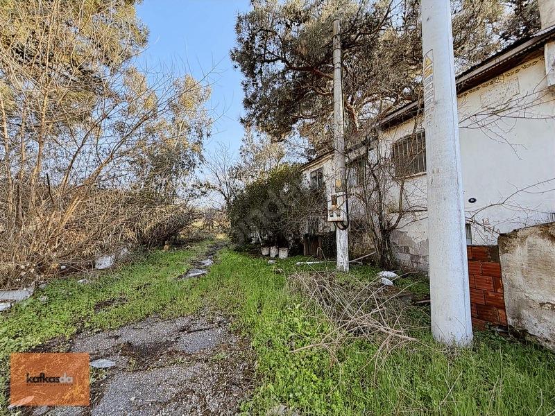 Kemalpaşa Yukarıkızılca'da Satılık Çiftlik Evi Ve Arazisi — fotoğraf 13