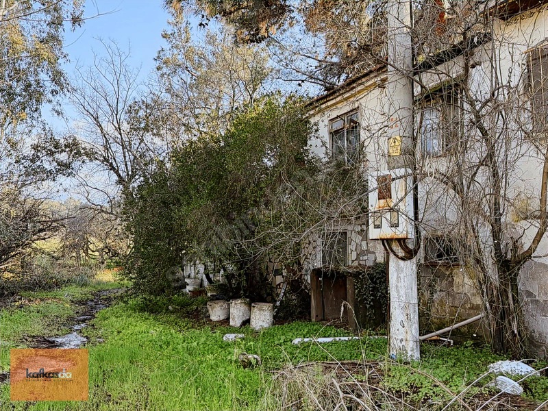 Kemalpaşa Yukarıkızılca'da Satılık Çiftlik Evi Ve Arazisi — fotoğraf 14