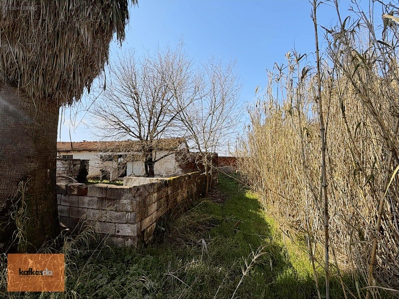 Kemalpaşa Yukarıkızılca'da Satılık Çiftlik Evi Ve Arazisi — fotoğraf 18