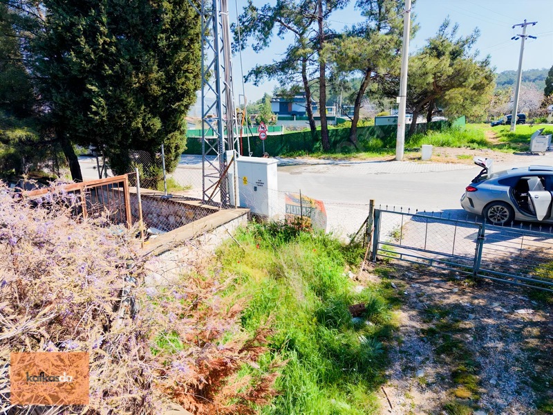 Kemalpaşa Yukarıkızılca'da Satılık Çiftlik Evi Ve Arazisi — fotoğraf 29
