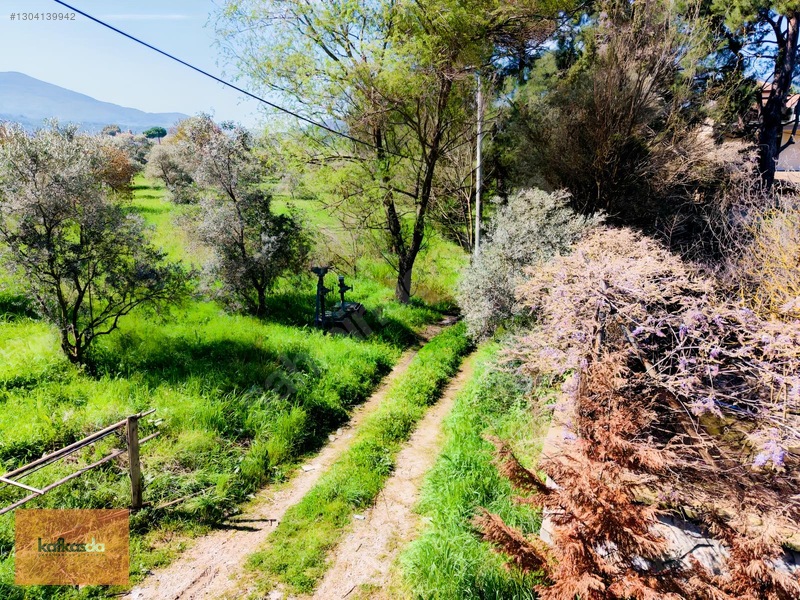 Kemalpaşa Yukarıkızılca'da Satılık Çiftlik Evi Ve Arazisi — fotoğraf 30
