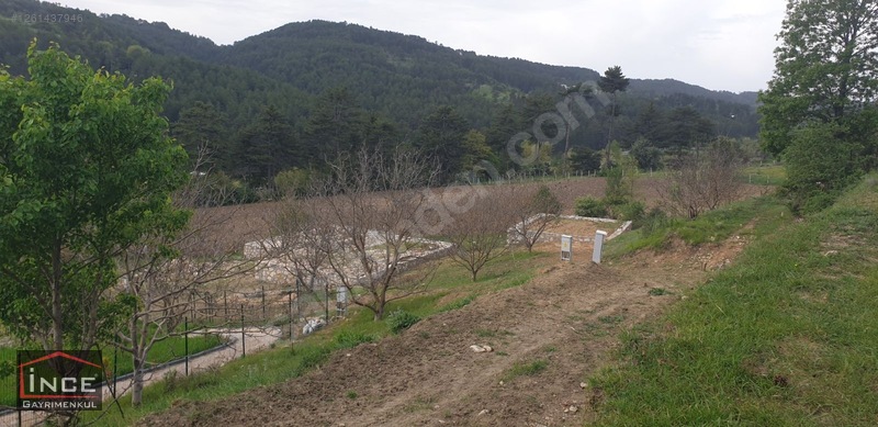 Keles Yaylasında Müstakil Tapulu Bahçe — fotoğraf 3
