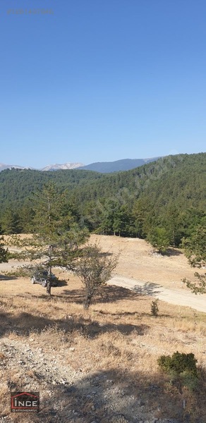 Keles Yaylasında Müstakil Tapulu Bahçe — fotoğraf 5