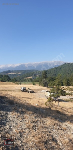 Keles Yaylasında Müstakil Tapulu Bahçe — fotoğraf 6